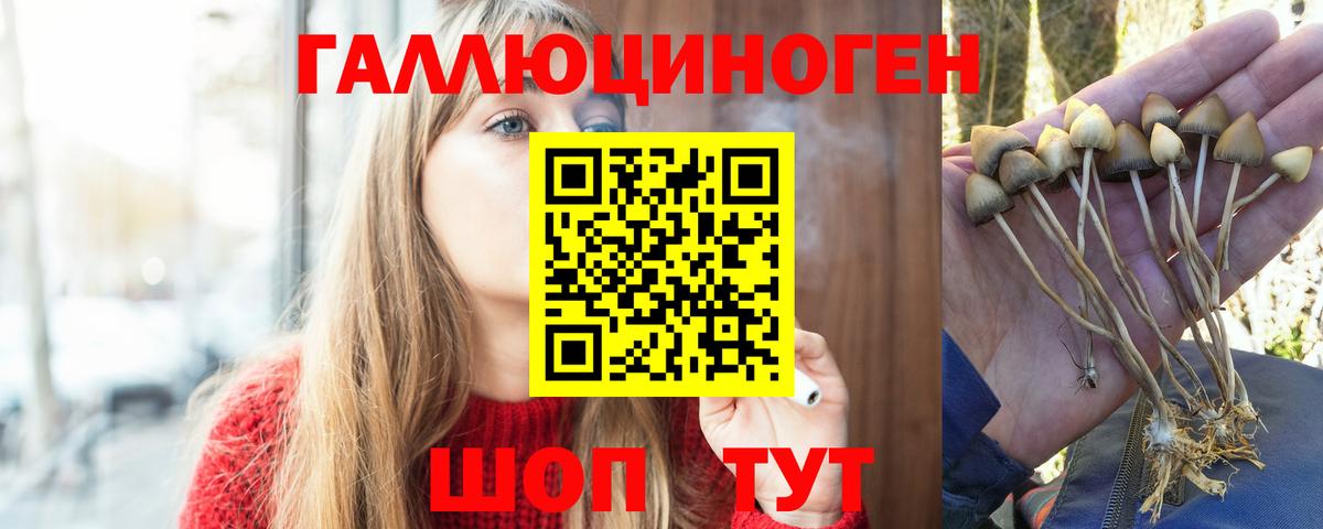 Псилоцибиновые грибы MAGIC MUSHROOMS Ярцево